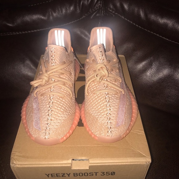 Adidas Yeezy 350 Boost v2 in Clay - Picture 6 of 6